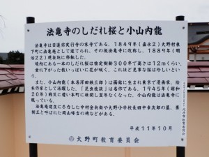 法亀寺　しだれ桜　由来